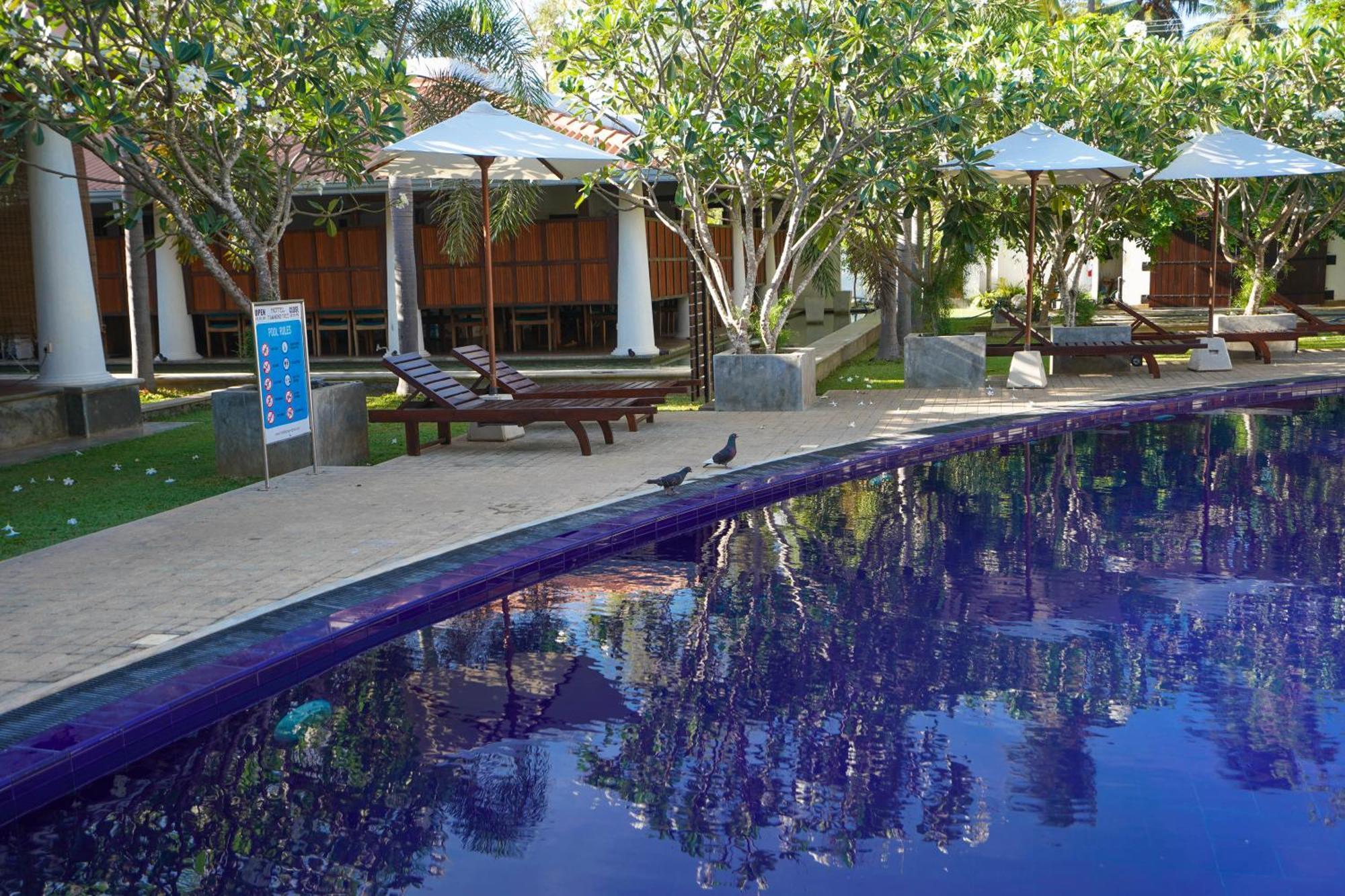 Hotel Tamarind Tree Тисамахарама Екстериор снимка